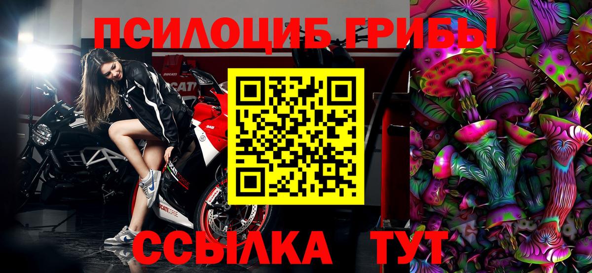 Добрянка  Псилоцибиновые грибы ЛСД  Вход с VPN 